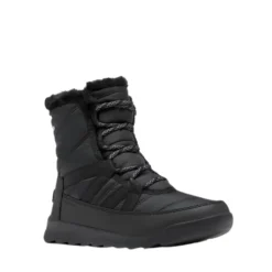 WHITNEY II PLUSLACE WP